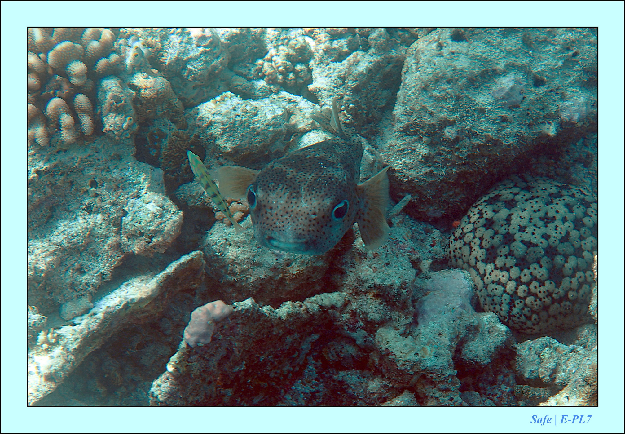 2023 - 07 - Sandies Bathala - 143